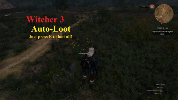AutoLoot - best witcher 3 mods